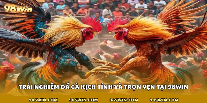 Trải nghiệm đá gà kịch tính và trọn vẹn tại 98win
