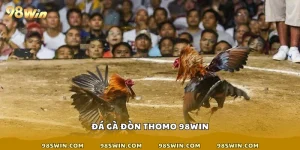đá gà đòn Thomo