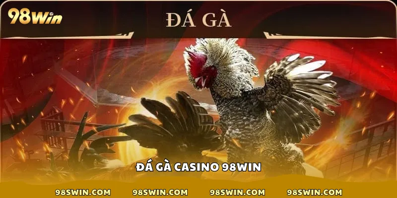 Đá gà casino